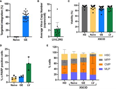 CRISPR-Cas9-AAV versus lentivector transduction for genome modification of X-linked severe combined immunodeficiency hematopoietic stem cells